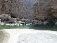 Wadi Ash Shab  Po asi 15 minutách chůze  jsme u Bazénu 1. : Wadi Ash Shab