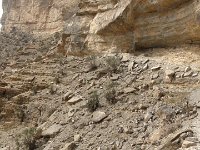Kaňon - Wadi Ghul  Je čas se obrátit a jít zpět. Šofér se ptá, zda nemám vodu. Říkám že ne. Dopil zbytek ze své láhve – tu mu dal Tadek a nese ji v ruce. Ne však dlouho. Ve skále se ojevila díra, přímo na tuto láhev. Nezaváhal ani chvíli a šup, láhev do díry zatlačil, jako by se nechumelilo. Obecně je jasné, že tyto státy mají problém s jakýmsi cítěním vůči přírodě. Plastů se tady (obecně v Ománu) válí mnoho a nikdo si z toho zatím nic moc nedělá. : Kaňon, Wadi Ghul