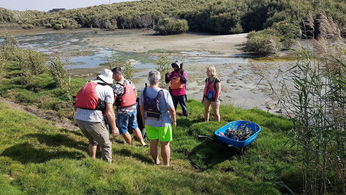 Al Zorah Kayak tours
