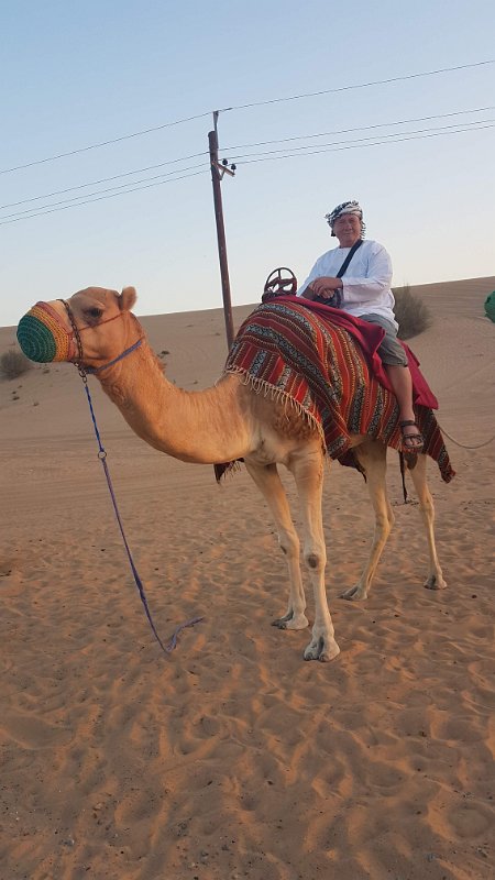 Den 9. Dubajská poušť