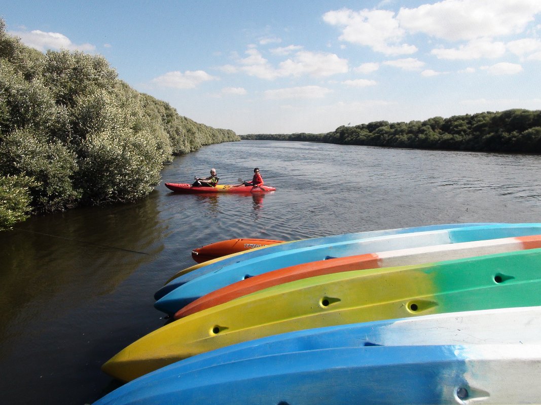 Al Zorah Kayak tours