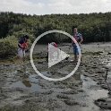 Al Zorah Kayak tours