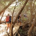 Al Zorah Kayak tours