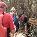 Al Zorah Kayak tours